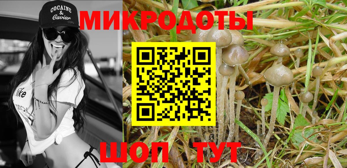 Галлюциногенные грибы Cubensis Алексеевка