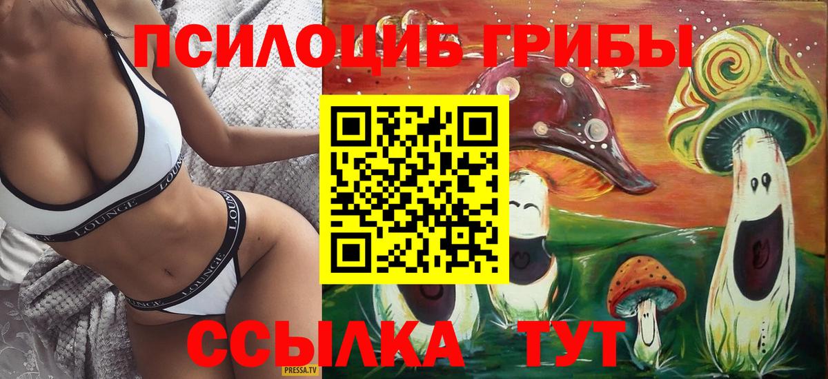 Алексеевка  Псилоцибиновые грибы Psilocybine cubensis  Вход с VPN 
